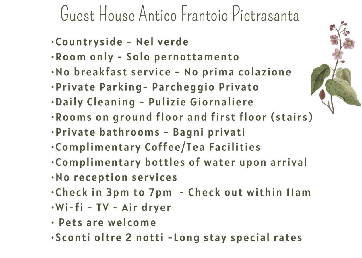 Guest House Antico Frantoio Pietrasanta Affittacamere Eksteriør billede