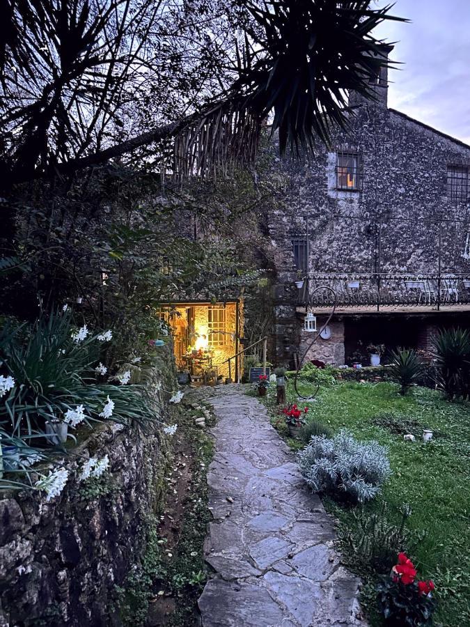 Guest House Antico Frantoio Pietrasanta Affittacamere Eksteriør billede
